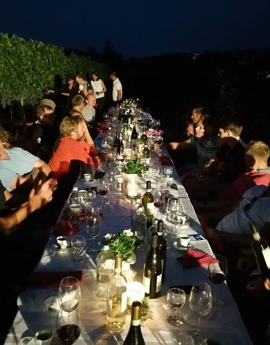 cena-vigna-structure-wine-norvegia-franco-francesco-vini