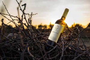 Bottiglia di vino bianco del Piemonte | Bottle of white wine from Piedmont