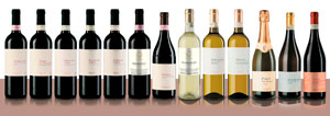 Immagine tutti i vini di produzione | Image all production wines
