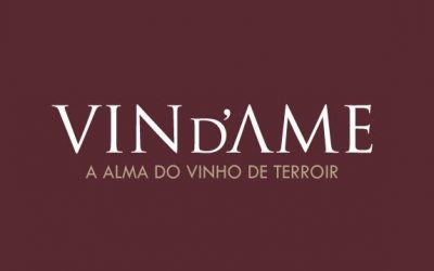 Vin d’Ame parla della Barbera d’Asti D.O.C.G Franco Francesco